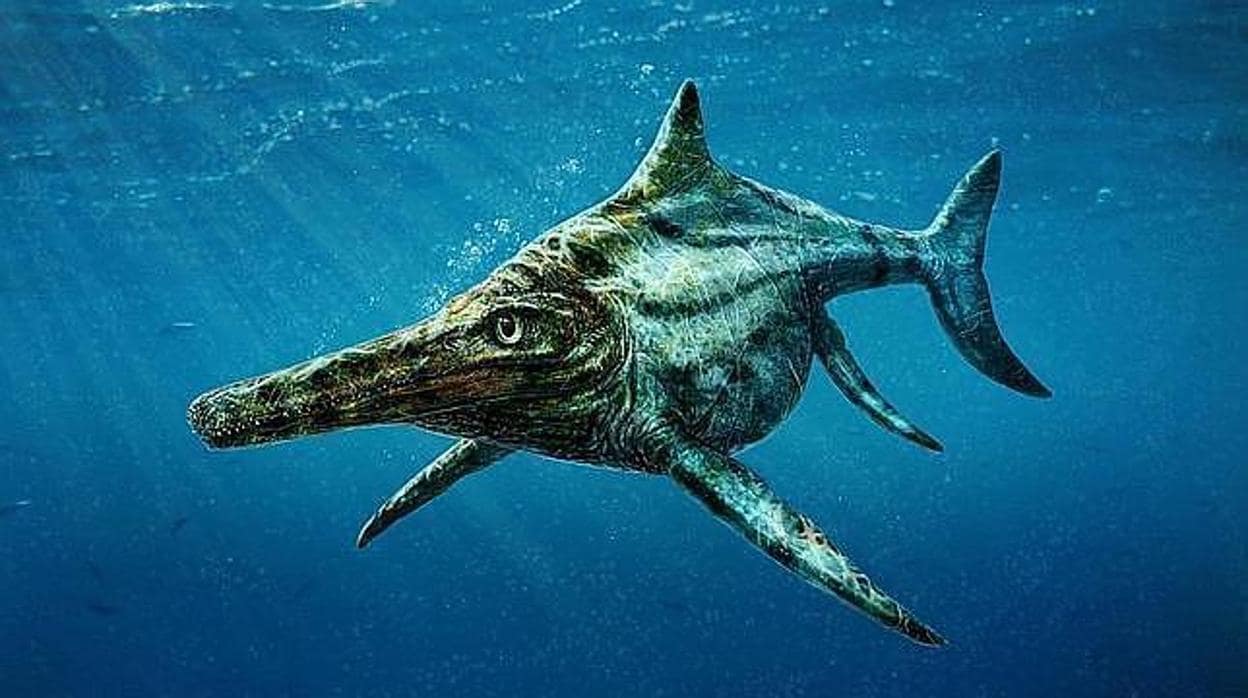 Los ictiosaurios tenían un aspecto parecido al de los delfines actuales