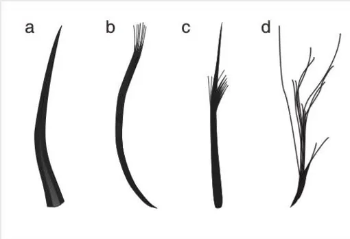 Los cuatro tipos de plumas