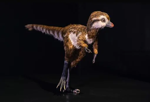 Representación de una cría de T. rex. Se considera que la mayoría no sobrevivía a su primer año de vida