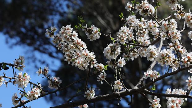 ¿Cuándo empieza la primavera?