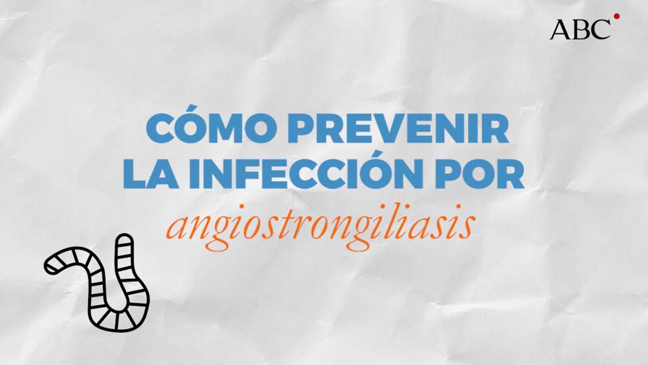 Cómo prevenir la infección por angiostrongiliasis en humanos