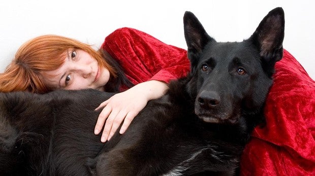 Tu perro también sufre tu estrés