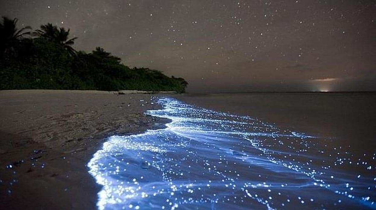 Una playa con el fenómeno de las «lágrimas azules»