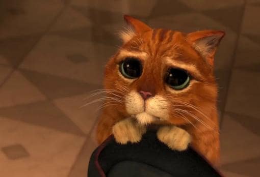 El personaje del gato con botas, en la película «Shreck», muestra cómo unos ojos grandes y unas cejas levantadas activan una respuesta de ternura y cuidado