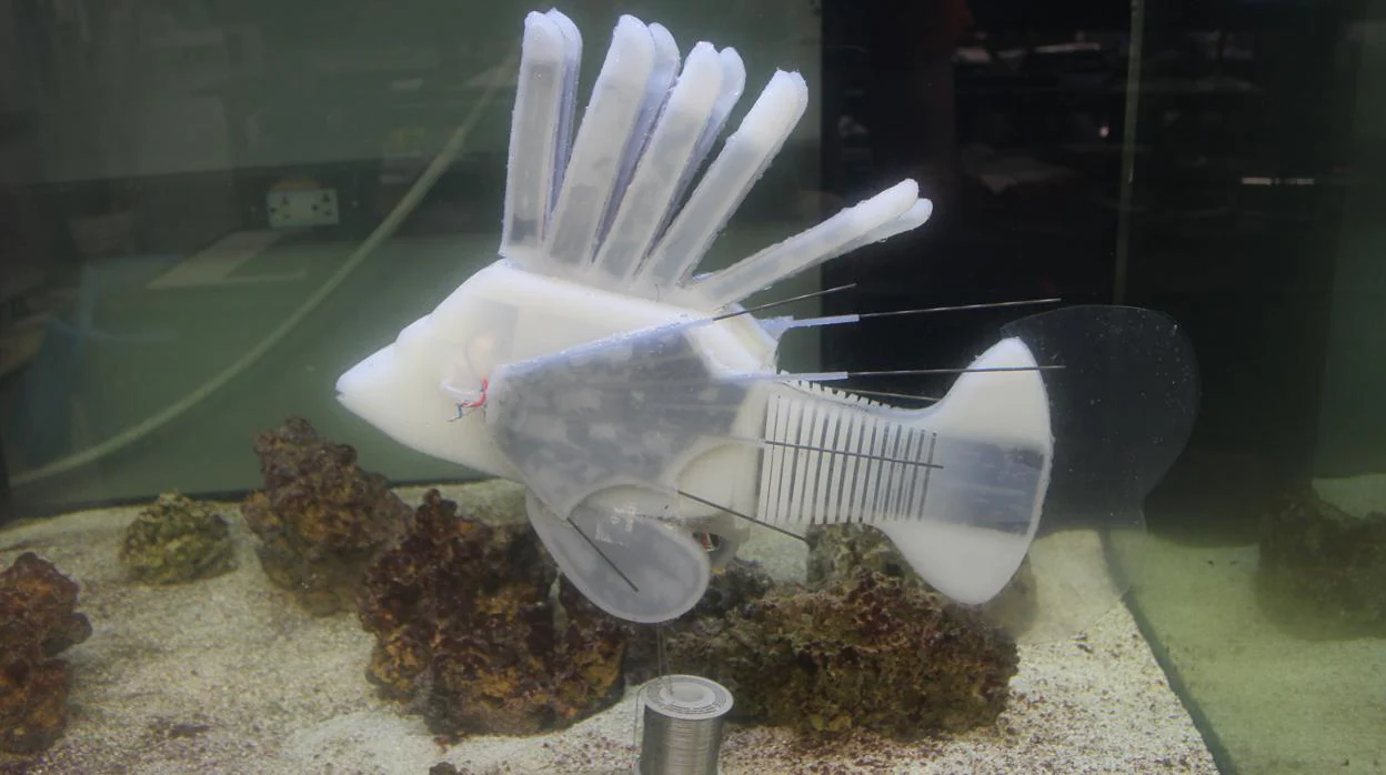 El pez león robótico creado por investigadores de la Universidad de Cornell