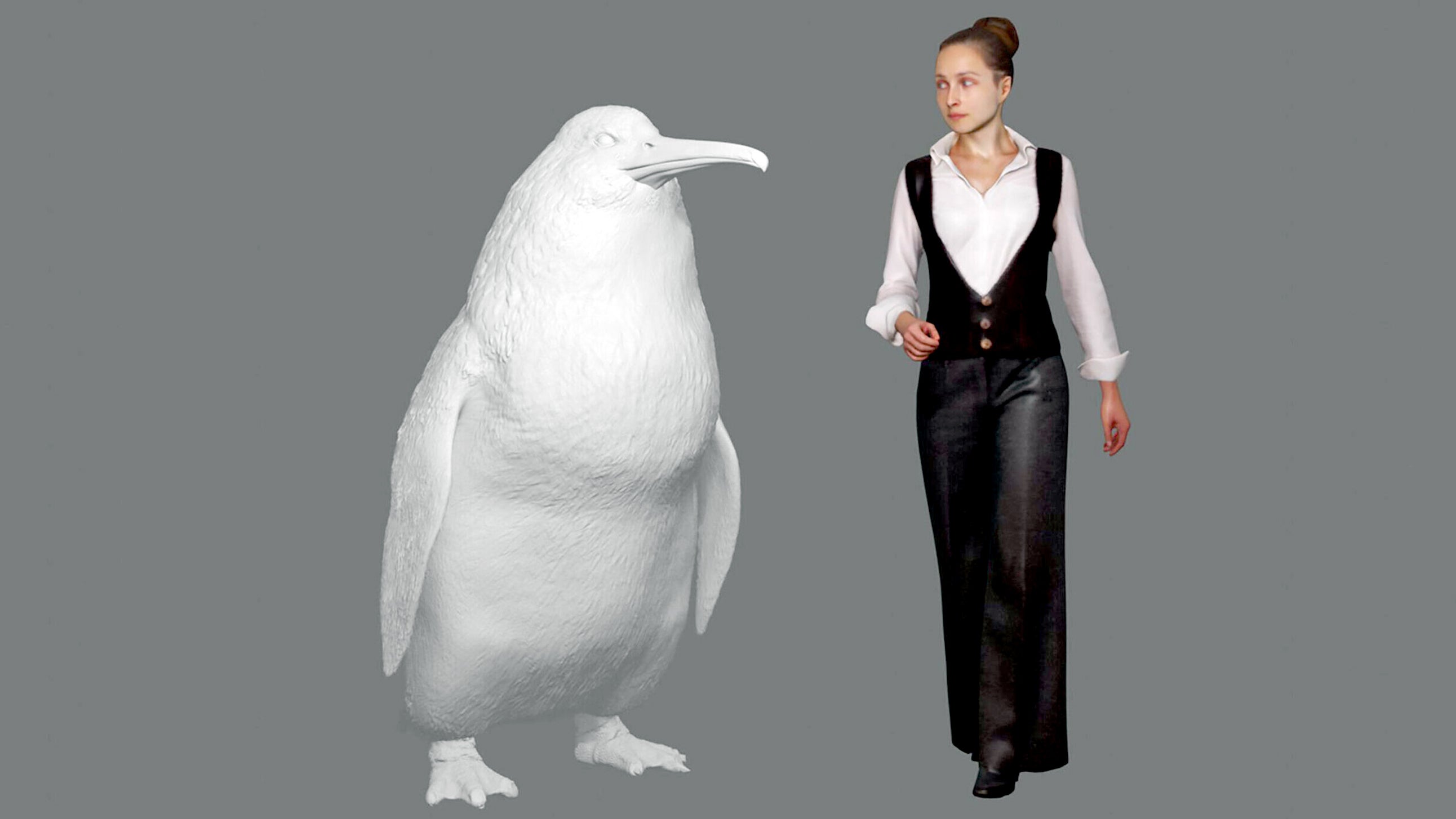 Descubren una especie de megapingüino en Nueva Zelanda