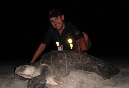 Óscar S. Aranda, durante la etapa en la que se dedicó a la conservación de las tortugas marinas en México