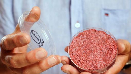 De carne «in vitro» a microbios que producen energía: ocho soluciones de la ciencia para un futuro sostenible