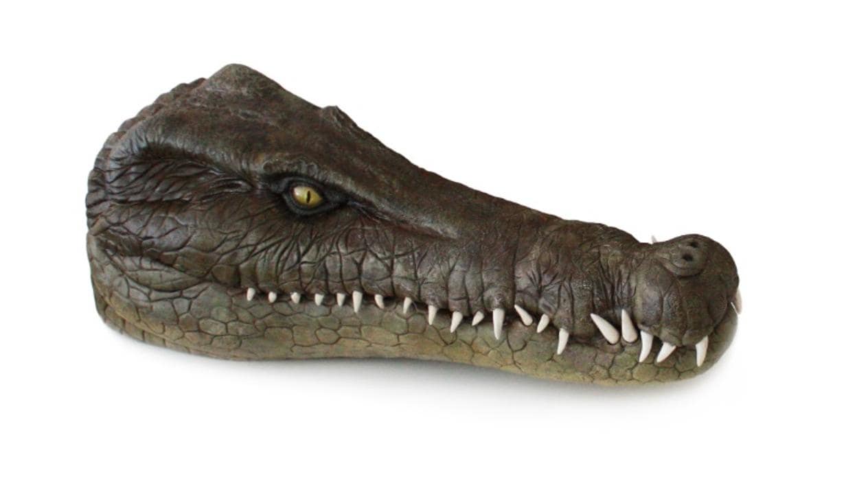 Descubren una nueva especie de cocodrilo que vivió hace 125 millones de  años en Teruel