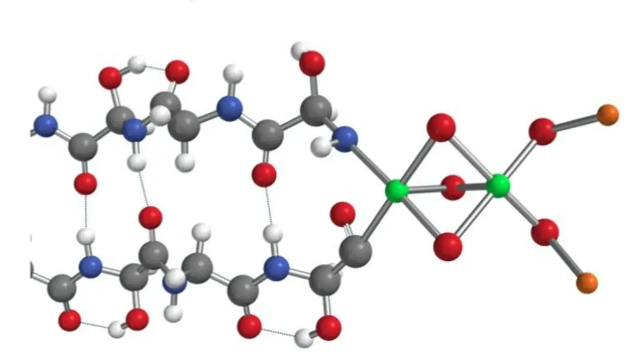 Este es el modelo de la hemolitina, la extraña proteína extraterrestre hallada en el interior de un meteorito. Arriba, el modelo en 3D: En el centro, la estructura de sus moléculas; Abajo, ampliación de uno de los extremos con átomos de hierro (verde), oxígeno (rojo) y litio (naranja). El hidrógrno aparecer en blanco, el carbono en gris y el nitrógeno en azul