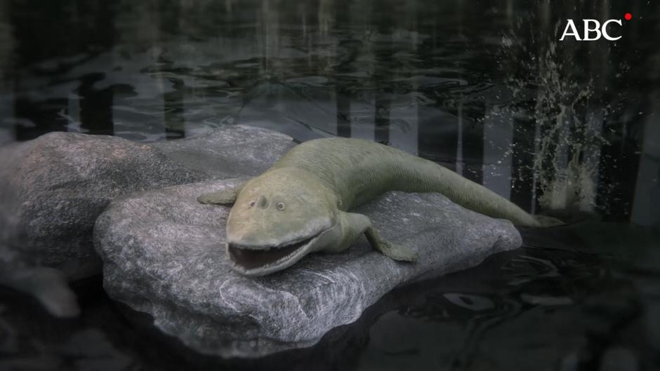 La mano de cinco dedos partió de este pez