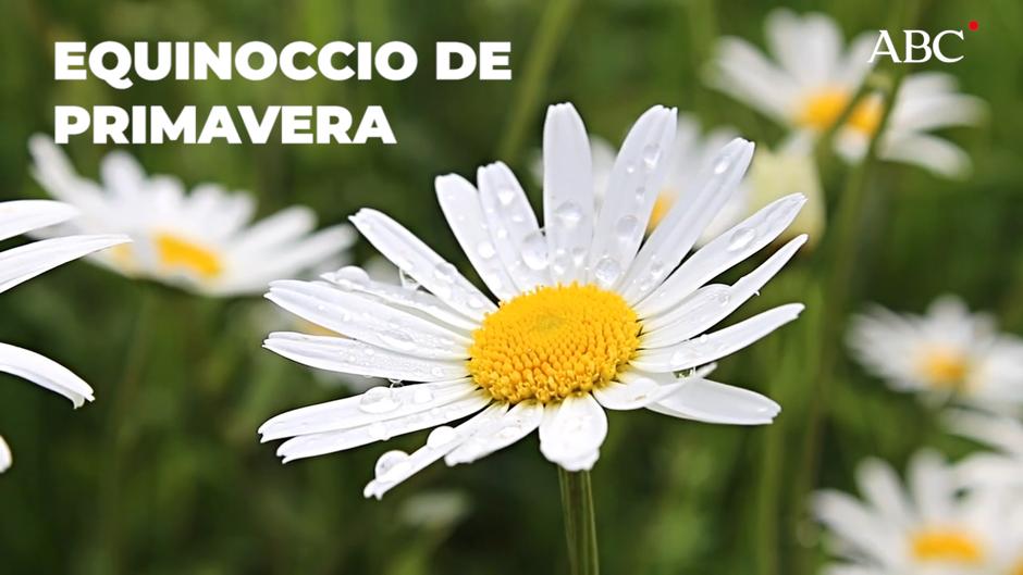 El equinoccio de primavera en 2020 es el 20 de marzo