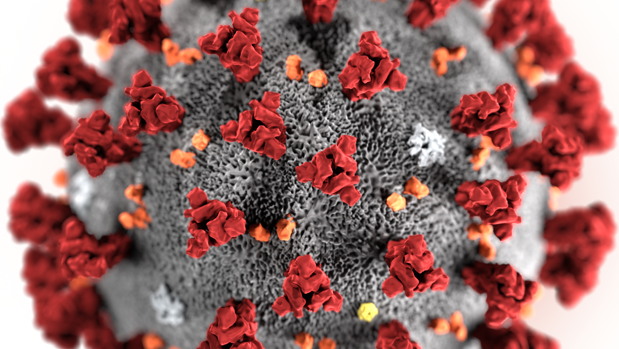 Por qué el coronavirus ha cogido al mundo por sorpresa