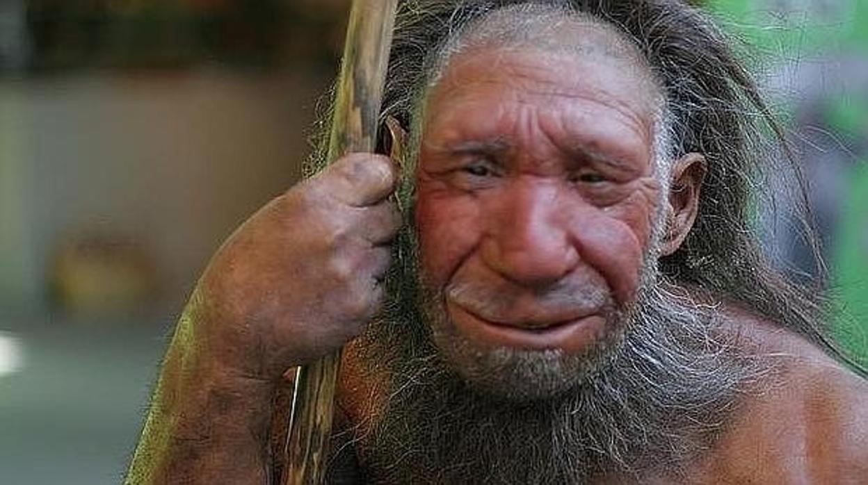 ¿Brutos carnívoros? Los neandertales también eran pescadores