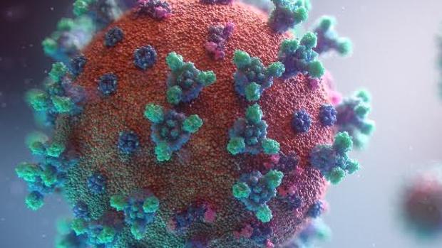 Una herramienta para saber si el coronavirus es de origen natural o está fabricado por el hombre