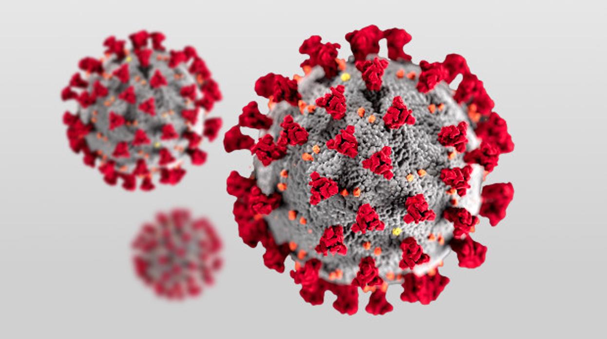 Un modelo matemático permitirá conocer el número real de infectados por coronavirus