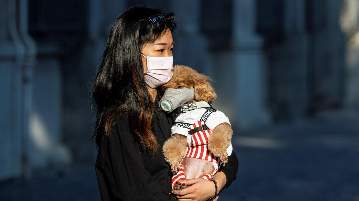 Una mujer china junto con su mascota, ambos con mascarilla