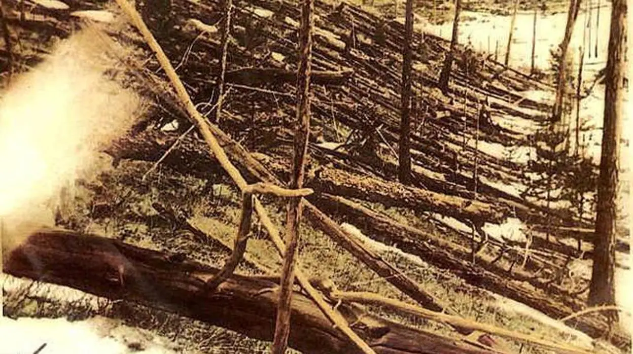 Árboles derribados tras el evento Tunguska