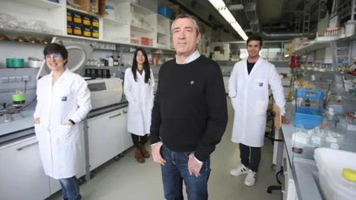 El equipo de José Manuel Martínez Costas en el Centro Singular en Investigación en Química Biológica y Materiales Moleculares (CIQUS), de la Universidad de Santiago