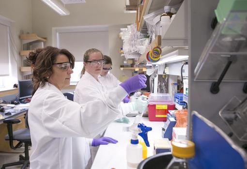 Cat Lutz, directora senior del repositorio de animales de los Laboratorios Jackson