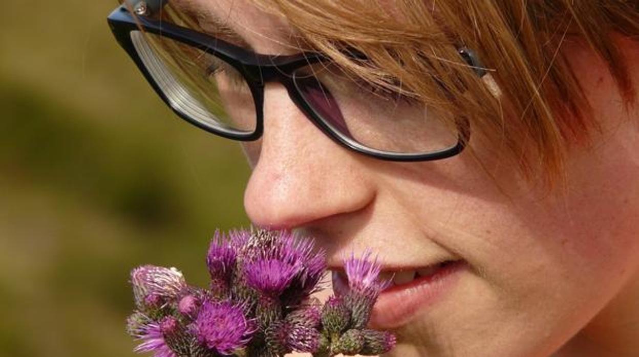 Hasta ahora, los científicos han tenido problemas para aislar la percepción de un solo olor en el cerebro