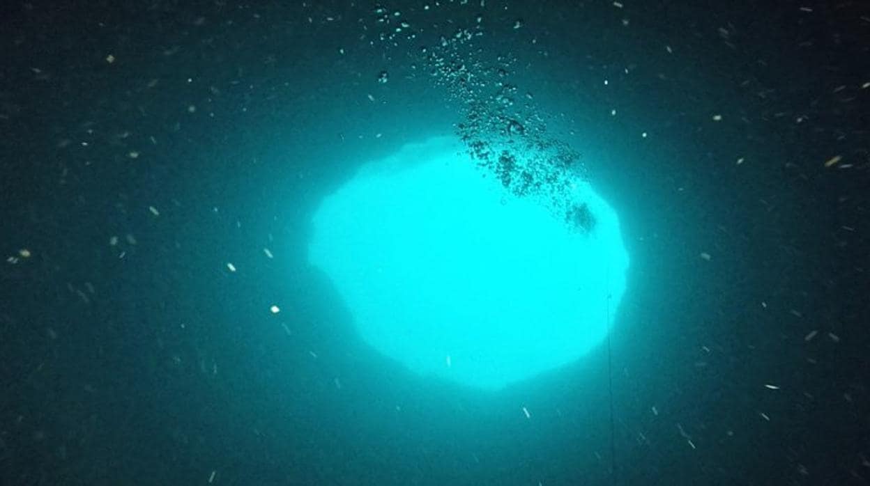 Vista desde el interior del agujero azul de Amberjack, en la Costa de Florida