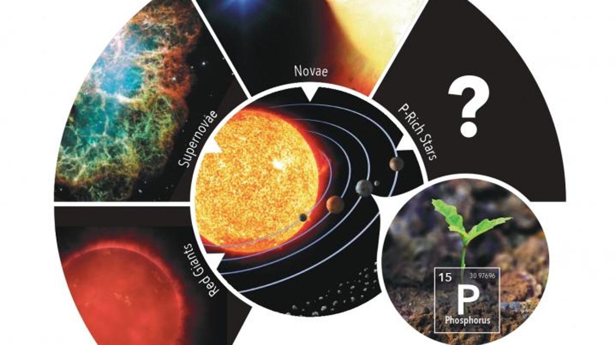 El gráfico representa el origen del fósforo de la Tierra en relación a las posibles fuentes estelares de este elemento en nuestra galaxia