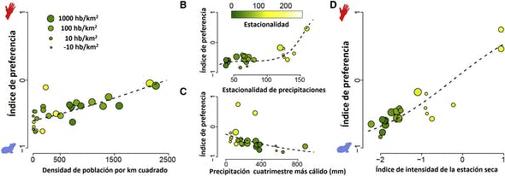 (A) La preferencia por los humanos se incrementa significativamente con el aumento de la densidad de población y en hábitats con lluvias altamente estacionales (B), mientras que disminuye en hábitats con más lluvia en la época más cálida del año (C). Las variables climáticas en (B) y (C) se pueden combinar en un índice de intensidad total de la estación seca (D). El color y el tamaño del punto corresponden a la estacionalidad de precipitación (escala en C) y a la densidad de la población humana (proporcional a la escala en A), respectivamente. Modificado y traducido a partir de la publicación original.