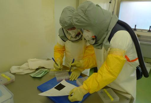 Trabajo con coronavirus en la Unidad de Biocontención del IRTA-CReSA