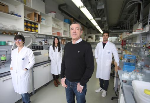 El equipo del investigador José Martínez Costas, en el Ciqus, es uno de los grupos españoles que trabaja en conseguir una vacuna frente a la COVID-19