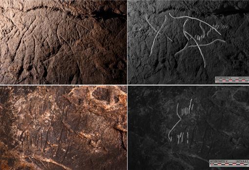 Dos cabezas de bisonte, fotografía y calco. En la imagen inferior se aprecia un zarpazo de oso de las cavernas