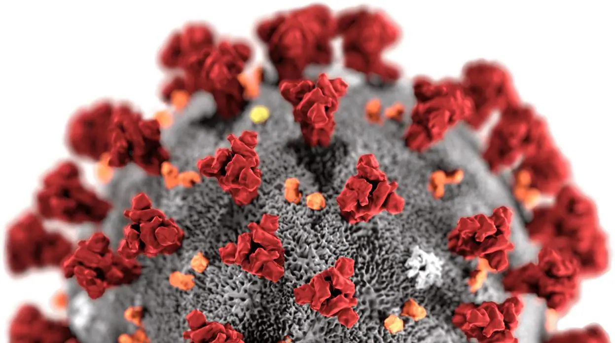 Ilustración del SARS-CoV-2, con las proteínas que reconocen a las células que infecta, en rojo