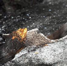 Cerámica Cibola Grey en el en el Monumento Nacional El Malpais en Nuevo México