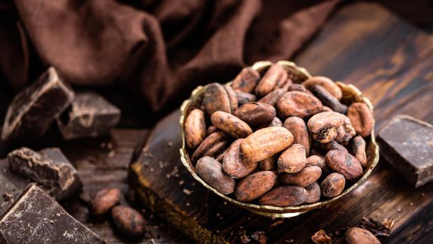 ¿Comer cacao puede hacerte más inteligente?