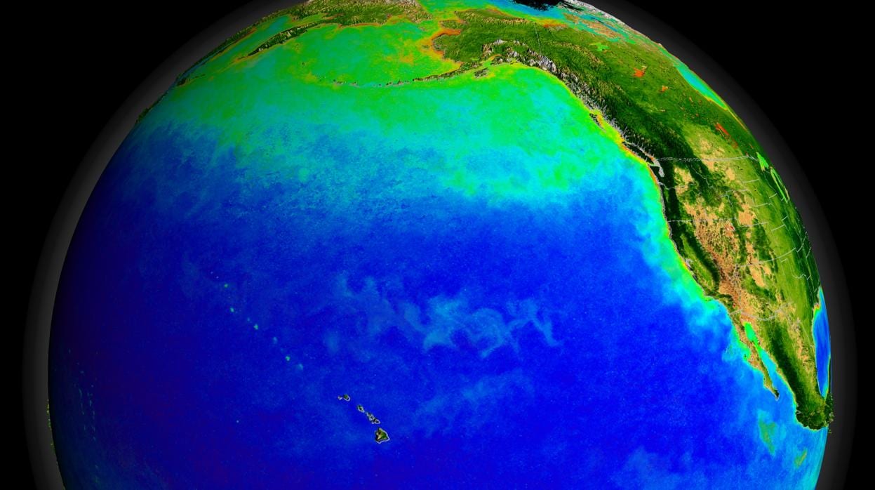 Las corrientes oceánicas del Pacífico permiten el crecimiento del plancton fotosintético (en verde). Hace milenios las corrientes caldearon el puente de tierra que unía Alaska y Siberia
