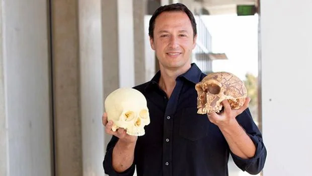 Crean unos 'mini cerebros' de neandertal con tijeras genéticas