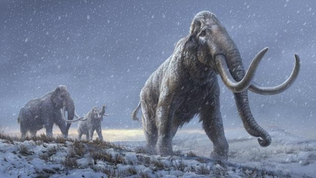 Recuperan el ADN de dos mamuts de más de un millón de años, el más antiguo del mundo