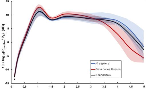 Patrones de audición reconstruidos en humanos modernos, neandertales y preneandertales de la sima de los Huesos basados en la anatomía de su oído
