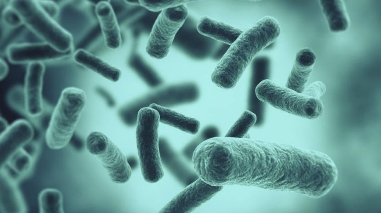 Descubren en la ISS una bacteria desconocida capaz de revolucionar la agricultura espacial