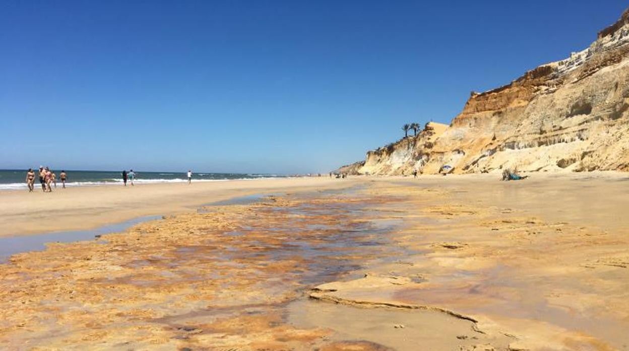 Zona del yacimiento de huellas fosilizadas en la playa de Matalascañas