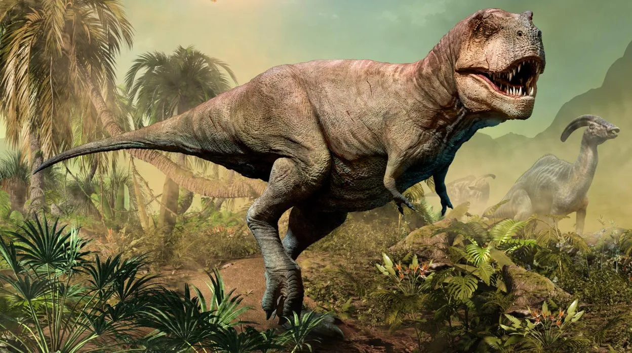 Fuera de clima imagen Cuántos tiranosaurios rex hubo en el mundo? Un número apabullante