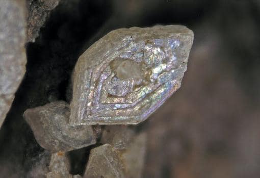 Cristal de struvita de 1 cm, de la granja de Maçanet de la Selva.