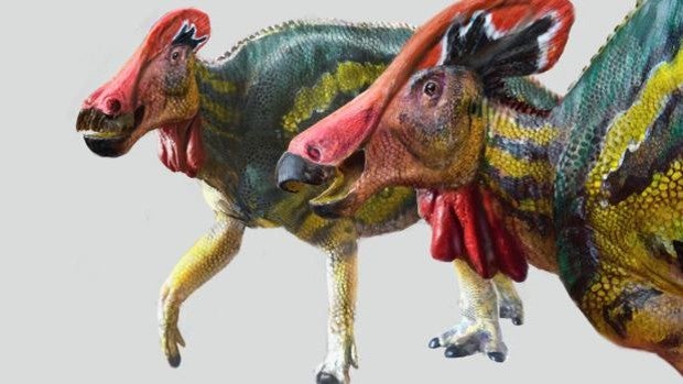 Descubierto en México un colosal dinosaurio 'ruidoso'