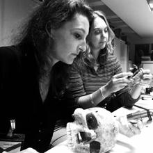 Estudio de los restos humanos de Jebel Sahaba en el Departamento de Egipto y Sudán del Museo Británico