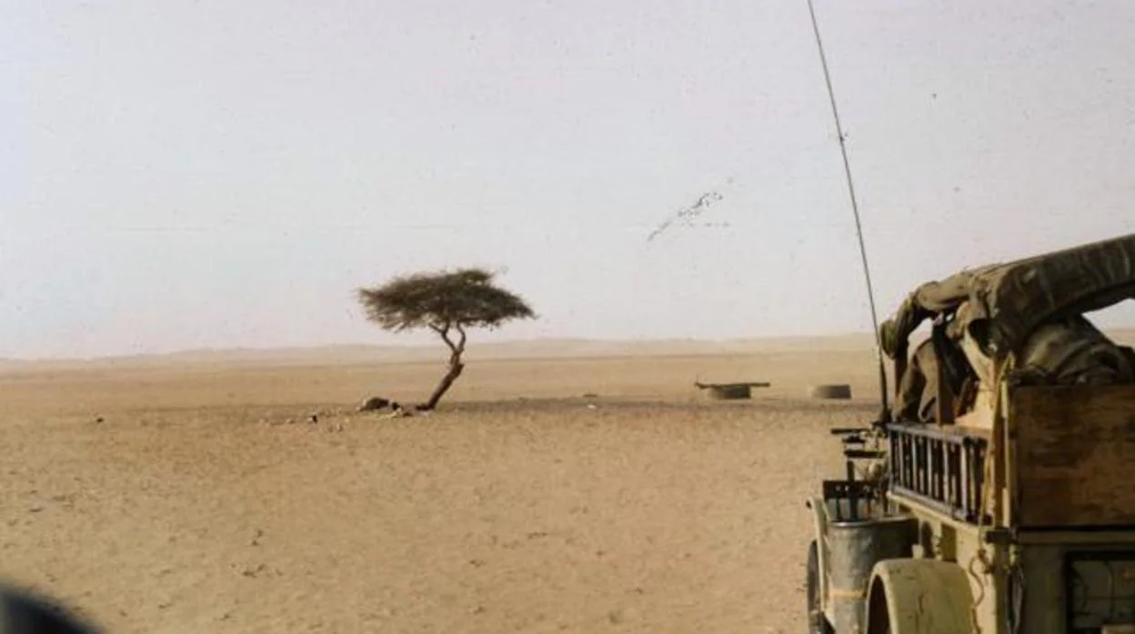 Vista del árbol de Teneré, fotografiado en 1961