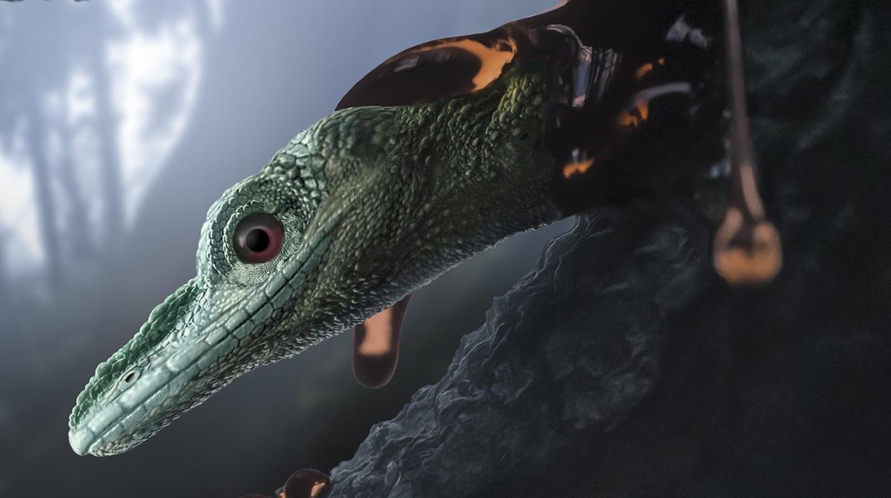 Recreación del aspecto en vida de Oculudentavis naga antes de quedar atrapado en resina