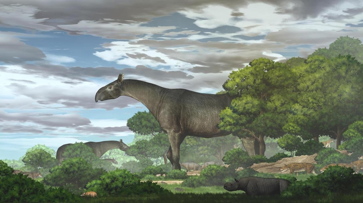 Reconstrucción ecológica del nuevo rinoceronte gigante Paraceratherium linxiaense en la meseta del noreste del Tíbet