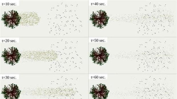 El polen transporta las partículas del SARS-CoV-2 más lejos y facilita la propagación del virus