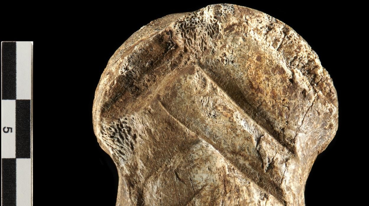El hueso de ciervo grabado por neandertales hallado en Einhornhöhle (Alemania)