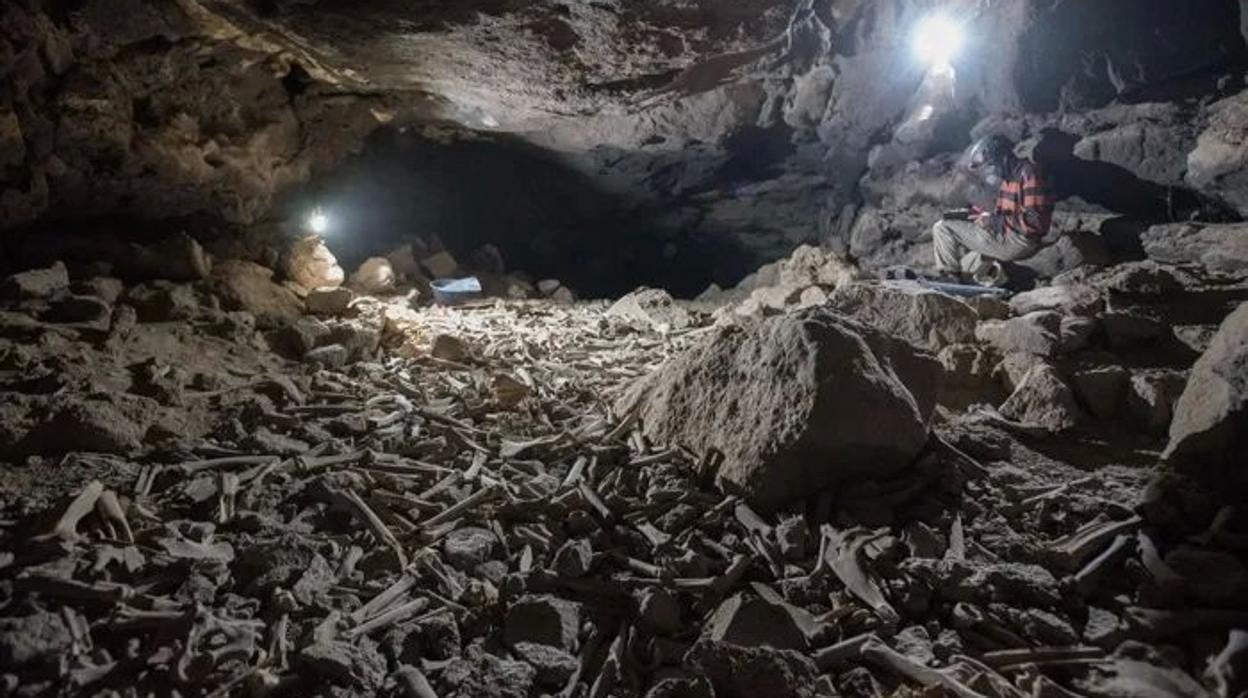 Una de las cámaras traseras de la cueva en donde se pueden apreciar muchos de los huesos encontrados